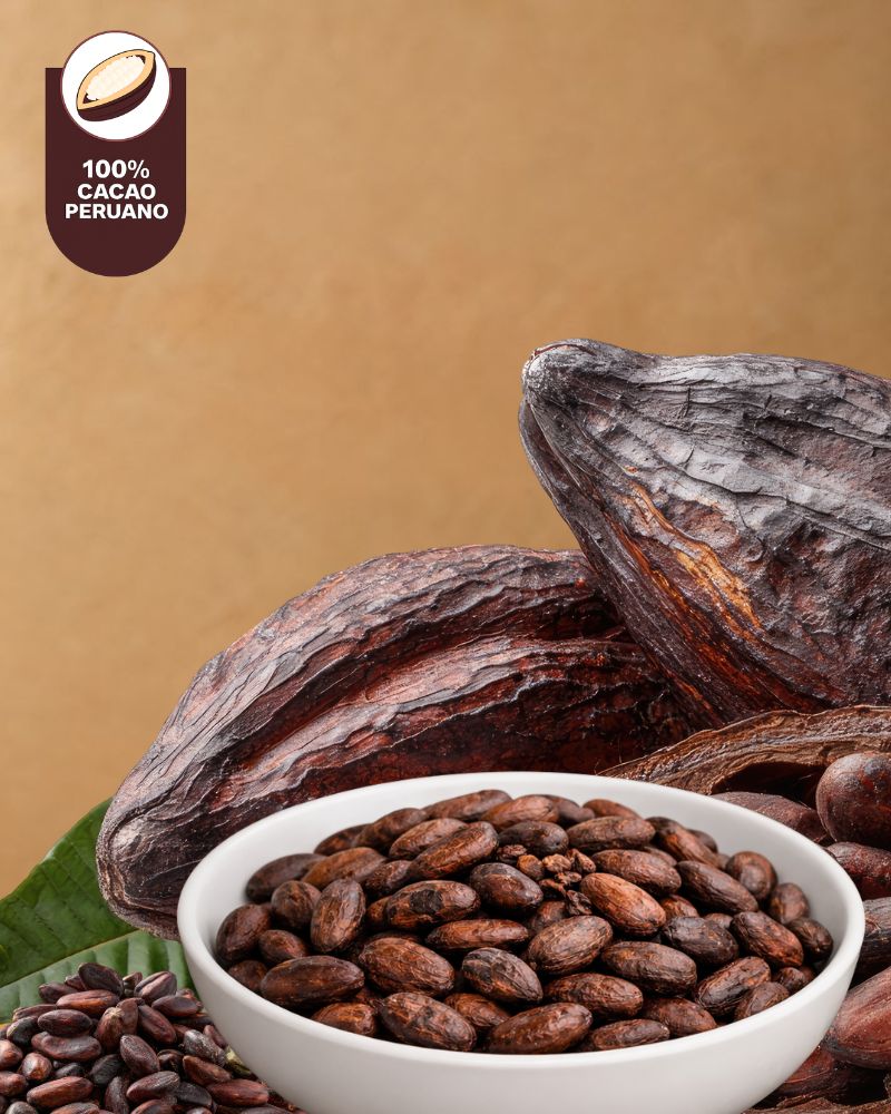 Grano de cacao seco